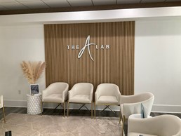 Image of The A Lab